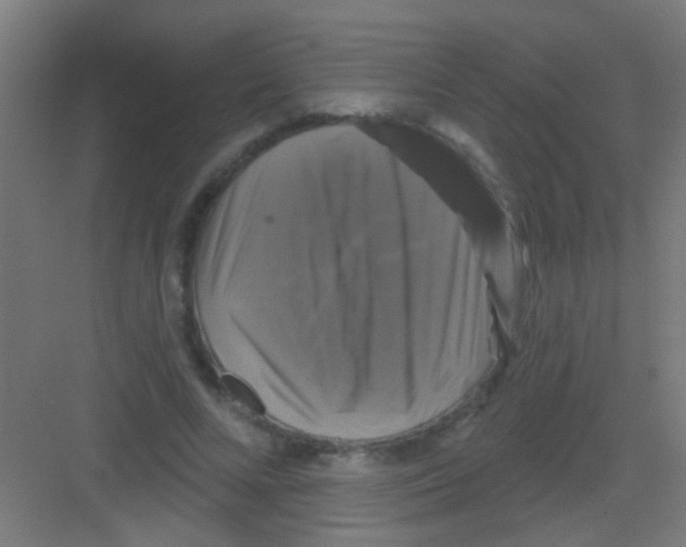 X0000081360688200702082321