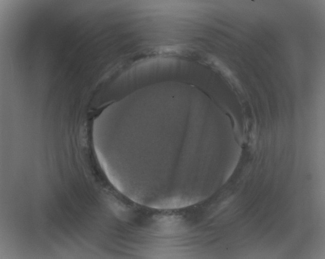 X0000081360689200702082321