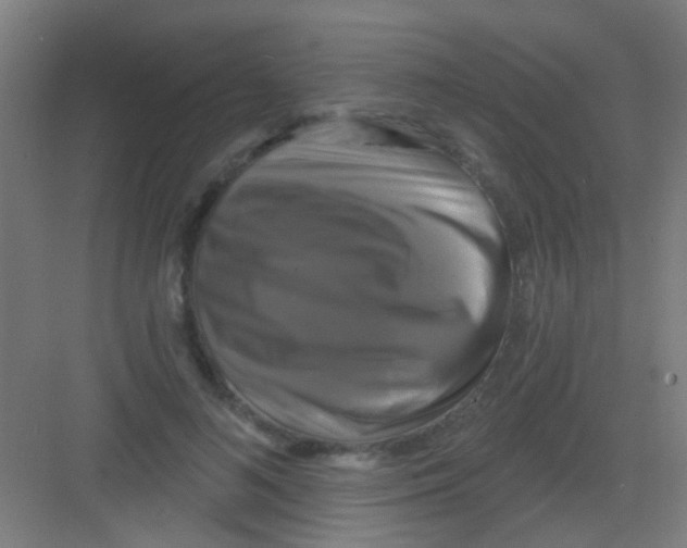 X0000081360692200702082321