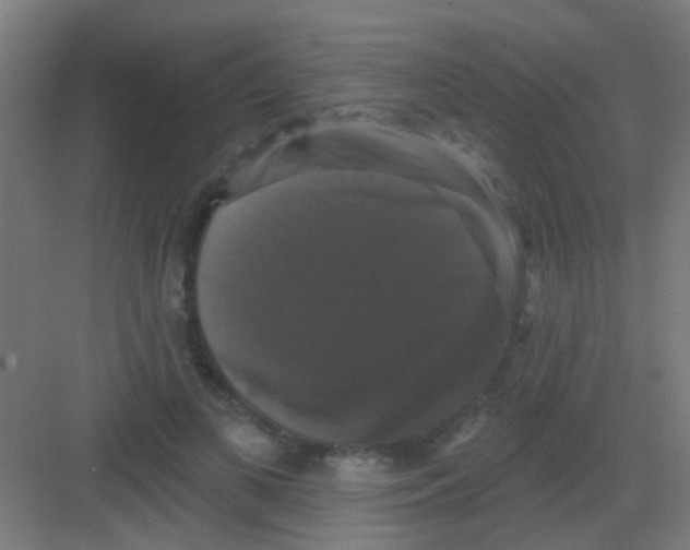 X0000081360693200702082321