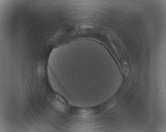 X0000081360697200702082321