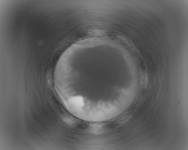 X0000081360701200702082320