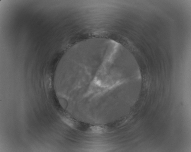 X0000081360703200702082320