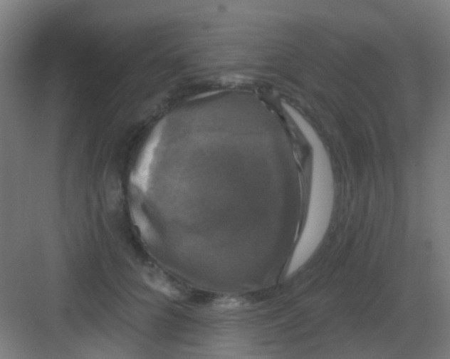 X0000081360704200702082320