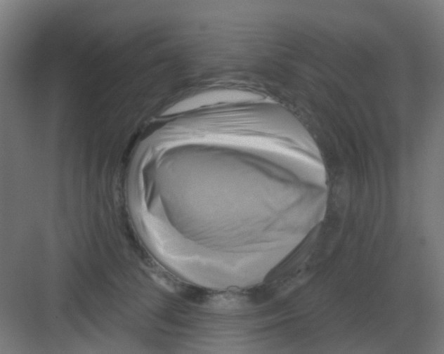 X0000081360708200702082320