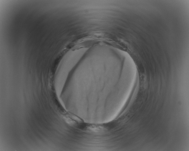 X0000081360712200702082320