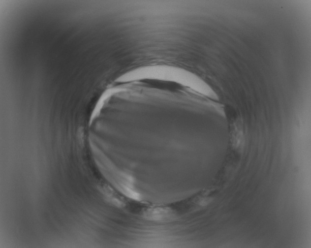 X0000081360716200702082320