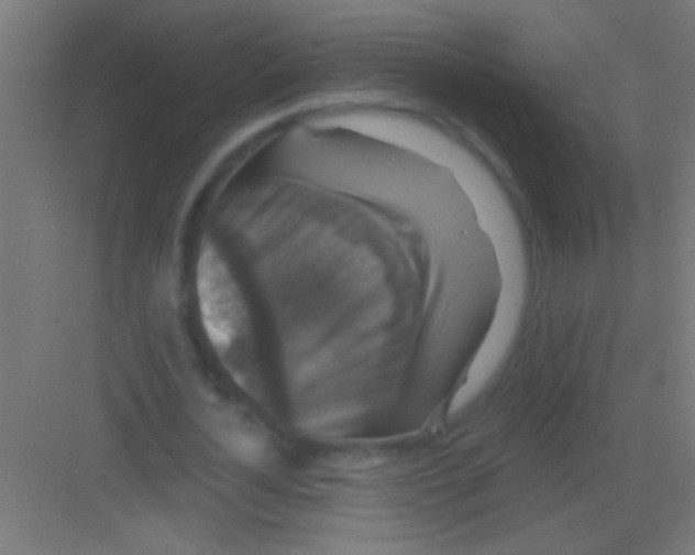 X0000081360724200702082319