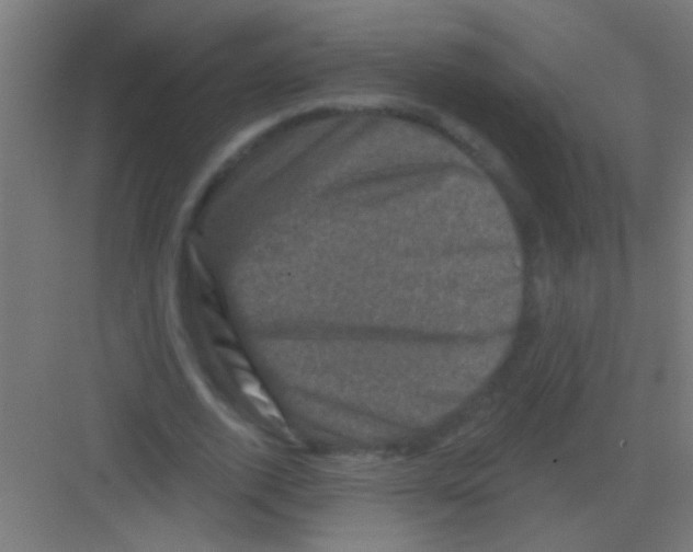 X0000081360728200702082319