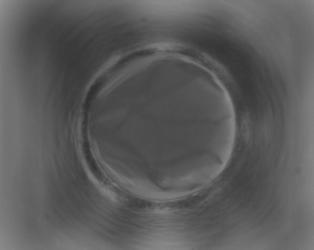 X0000081360730200702082320
