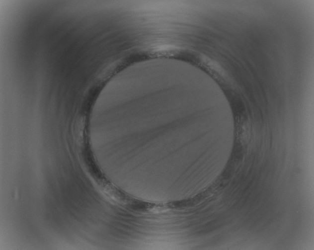 X0000081360742200702082320