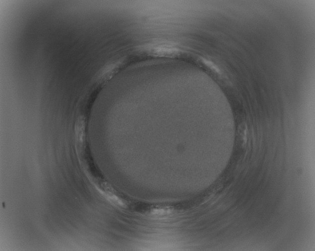 X0000081360744200702082320