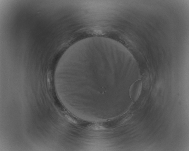 X0000081360747200702082320
