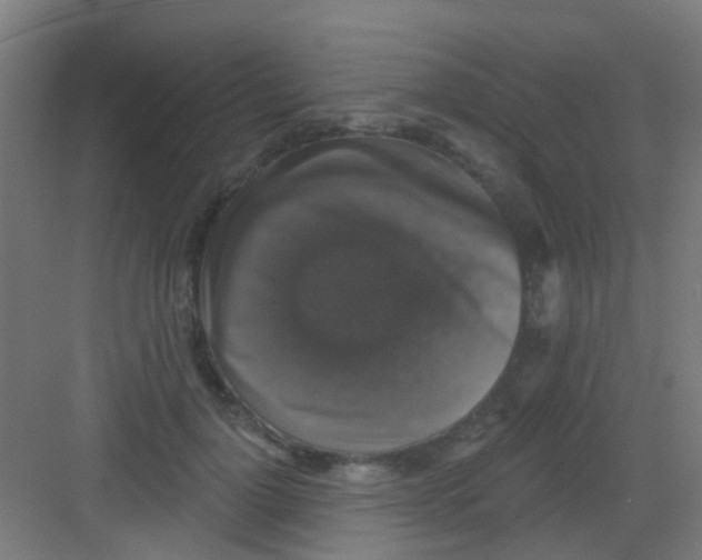 X0000081360748200702082320