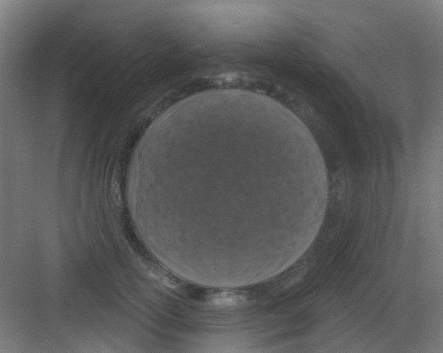 X0000081360754200702082320
