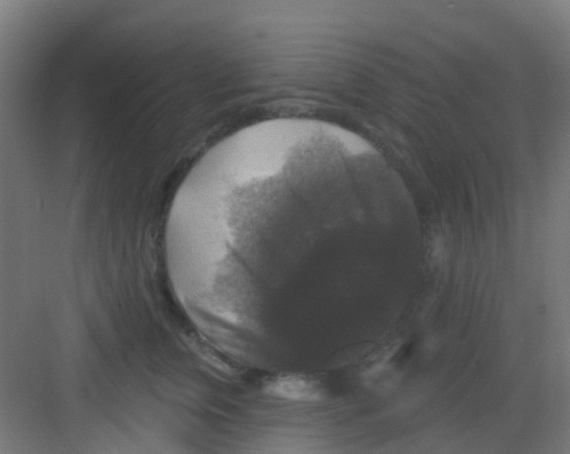 X0000081360759200702082320