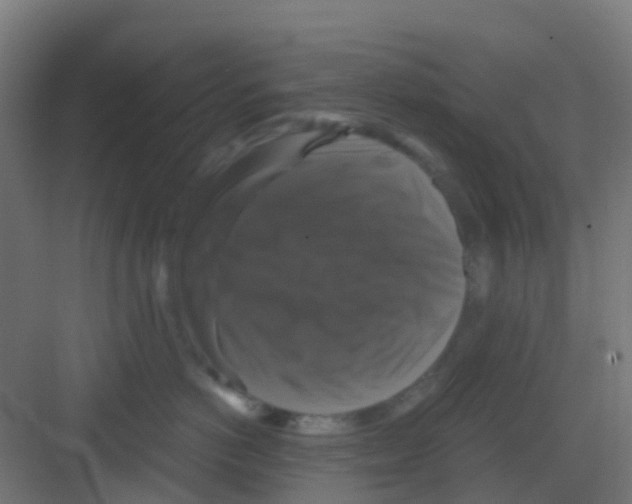 X0000081360766200702082320