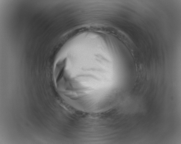 X0000081360773200702082319