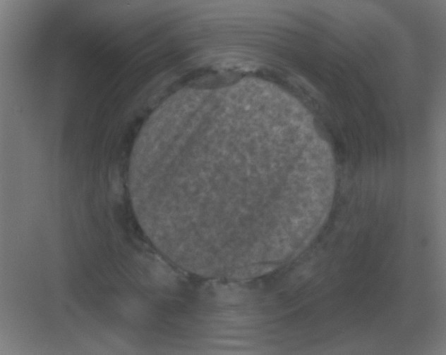 X0000081360774200702082319