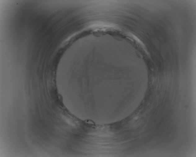 X0000081360775200702082319