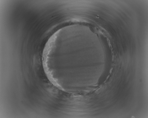X0000081360776200702082319