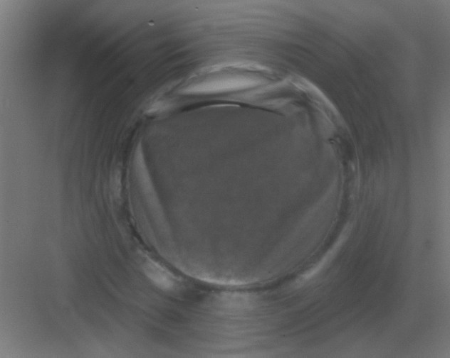 X0000081360777200702082319