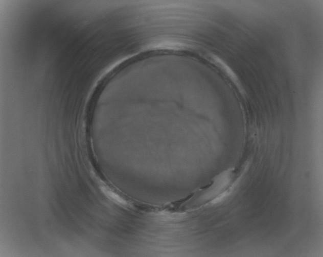 X0000081360779200702082319