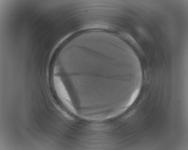 X0000081360780200702082319