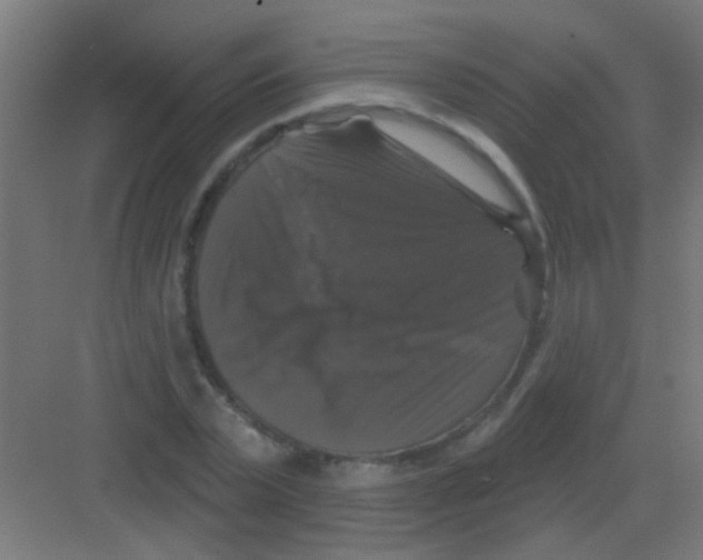 X0000081360783200702082319