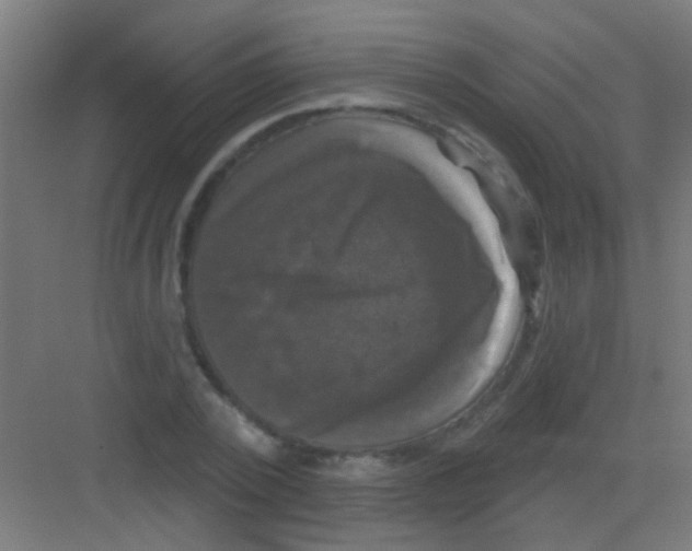 X0000081360784200702082319
