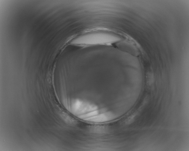 X0000081360785200702082319