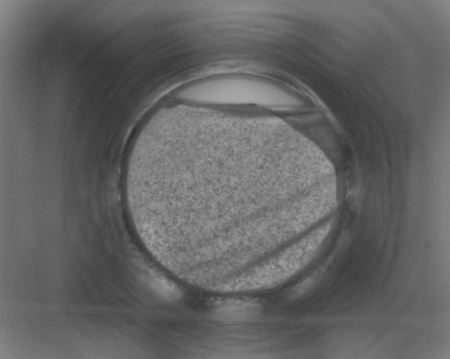 X0000081360786200702082319