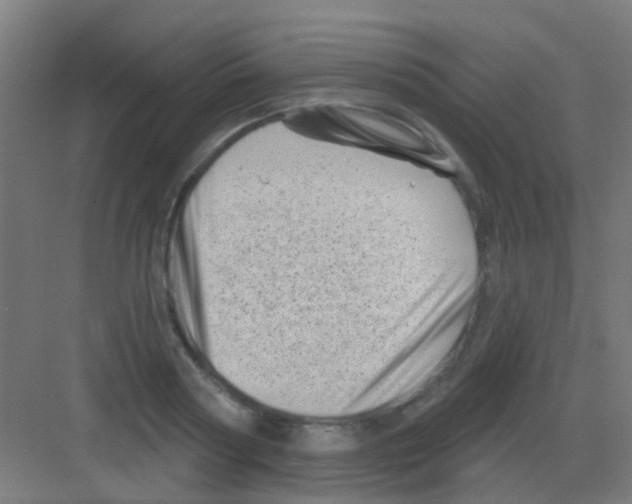 X0000081360794200702082319