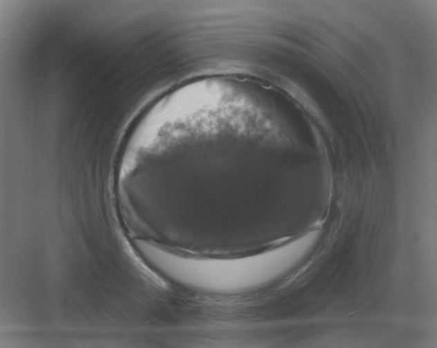 X0000081360797200702082319