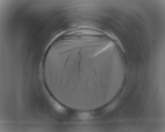 X0000081360798200702082319