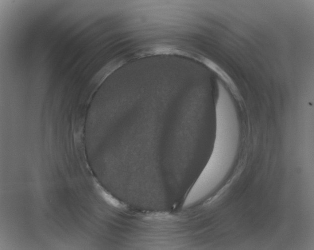 X0000081360801200702082319