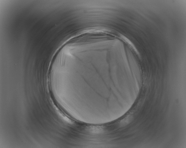X0000081360802200702082319