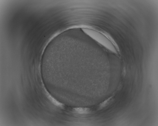 X0000081360805200702082319