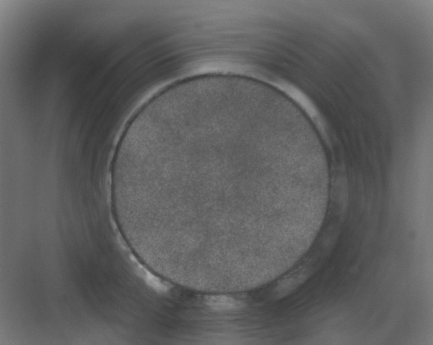 X0000081360807200702082319