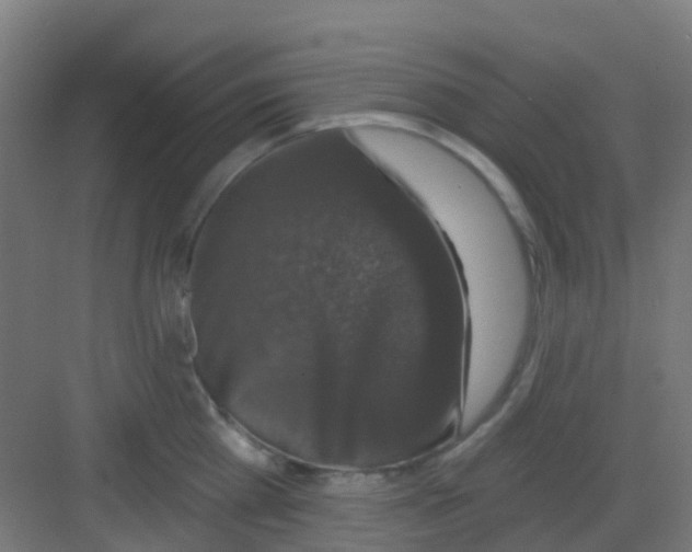 X0000081360809200702082319