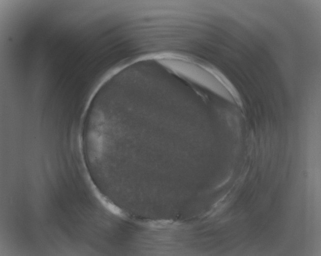 X0000081360813200702082319