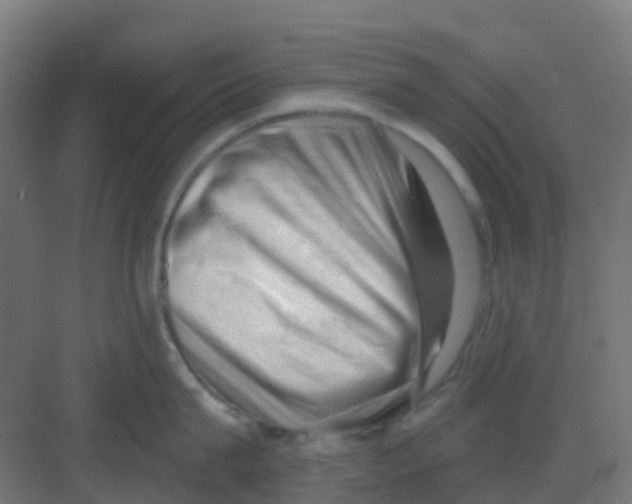 X0000081360815200702082319