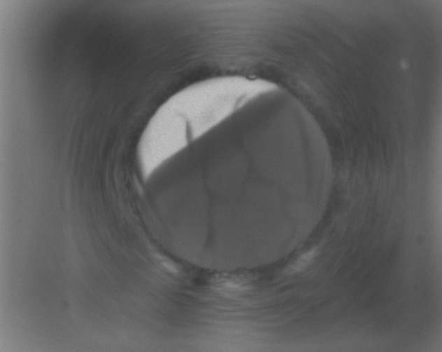 X0000081360817200702082318
