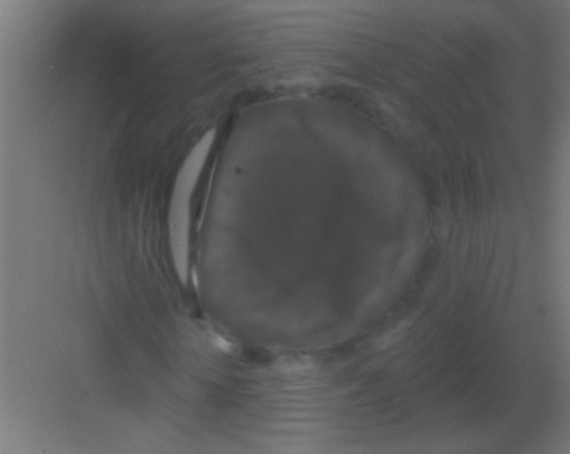 X0000081360818200702082318