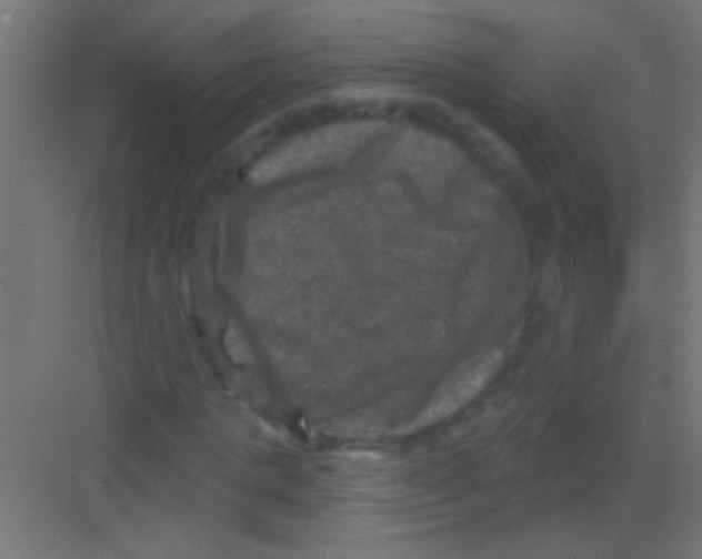 X0000081360821200702082318