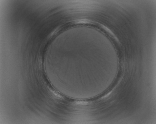 X0000081360825200702082318