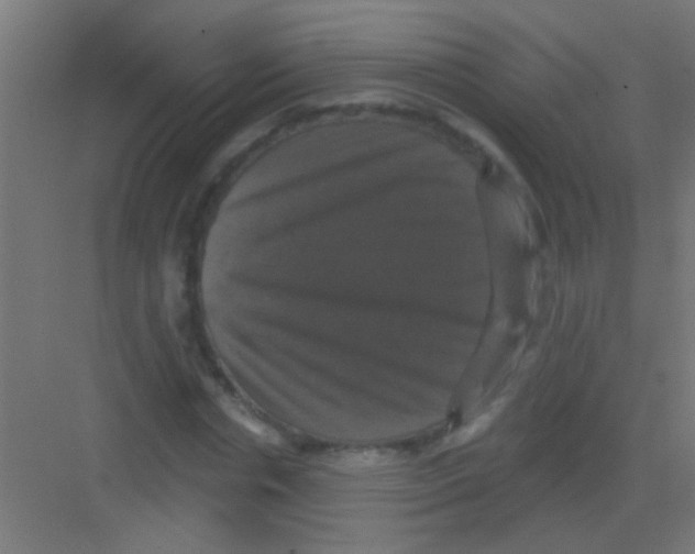 X0000081360826200702082318