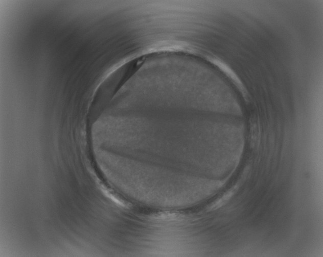 X0000081360834200702082318