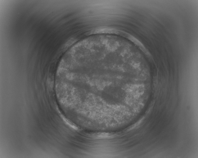 X0000081360841200702082318