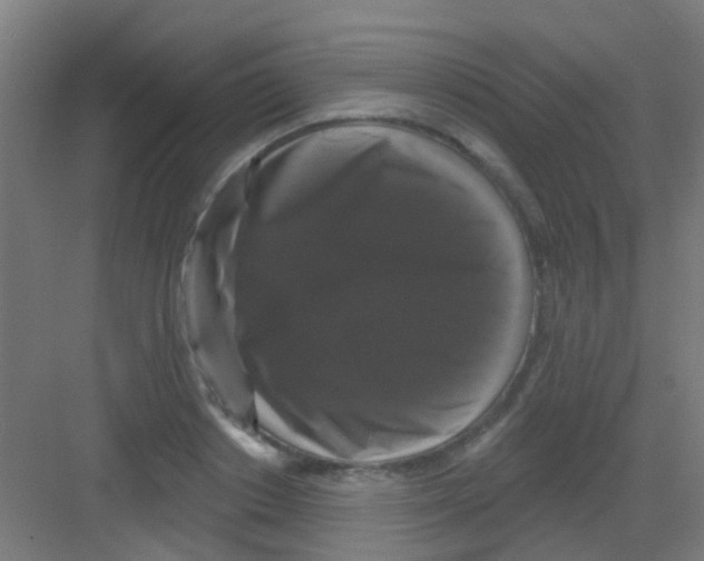 X0000081360842200702082318